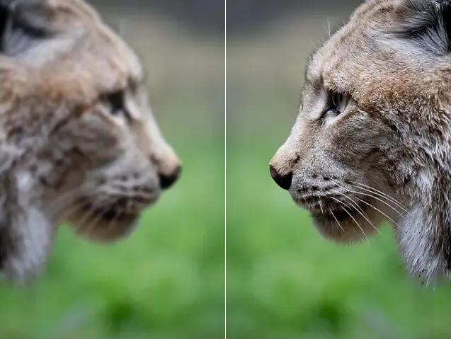 Upgrade Your Visuals Instantly with Free AI Image Enhancer Apps