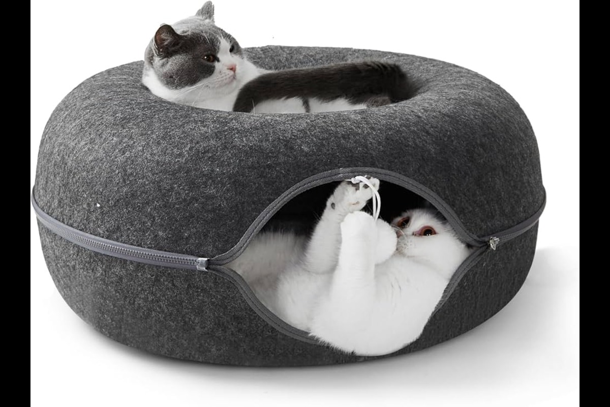 Transform Playtime with a Cat Donut Tunnel That Doubles as a Bed