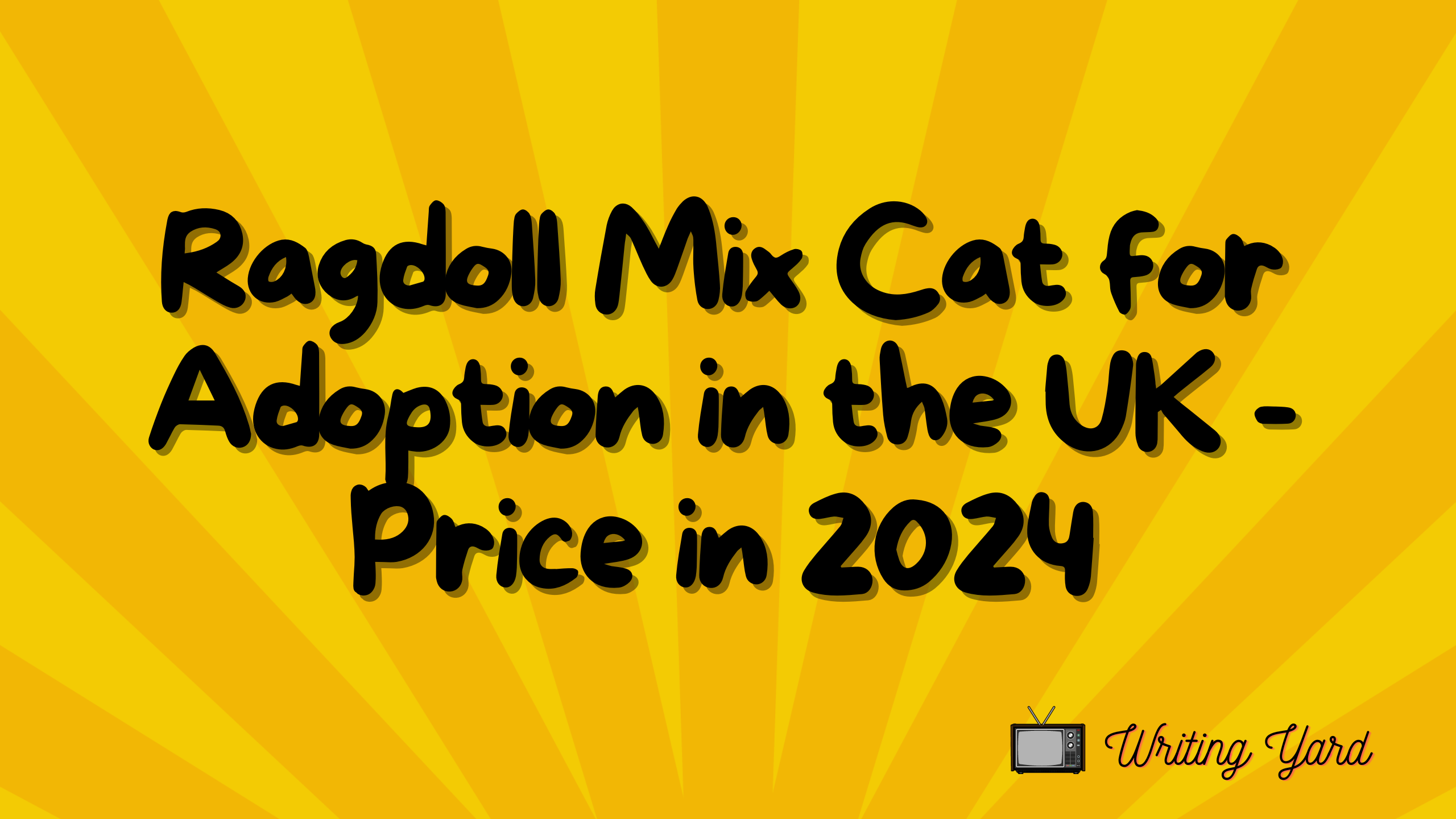 Ragdoll Mix Cat for Adoption in the UK - Price in 2024